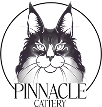 Pinnacle Cattery
